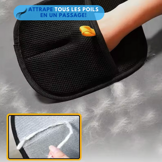 Gant attrape poils