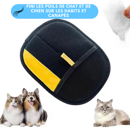 Gant attrape poils