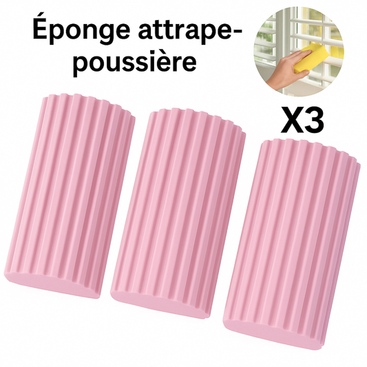 Lot de 3 Éponges attrape-poussière