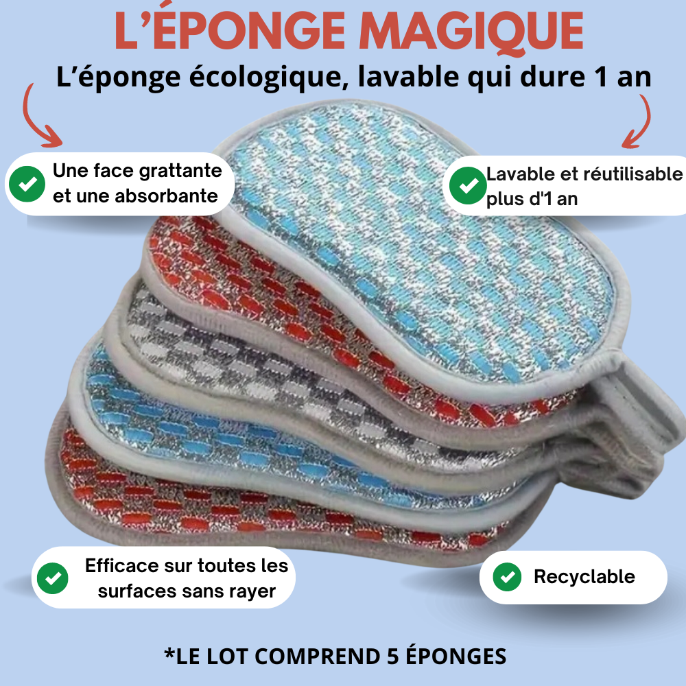 Lot de 5 éponges magiques lavable et réutilisable