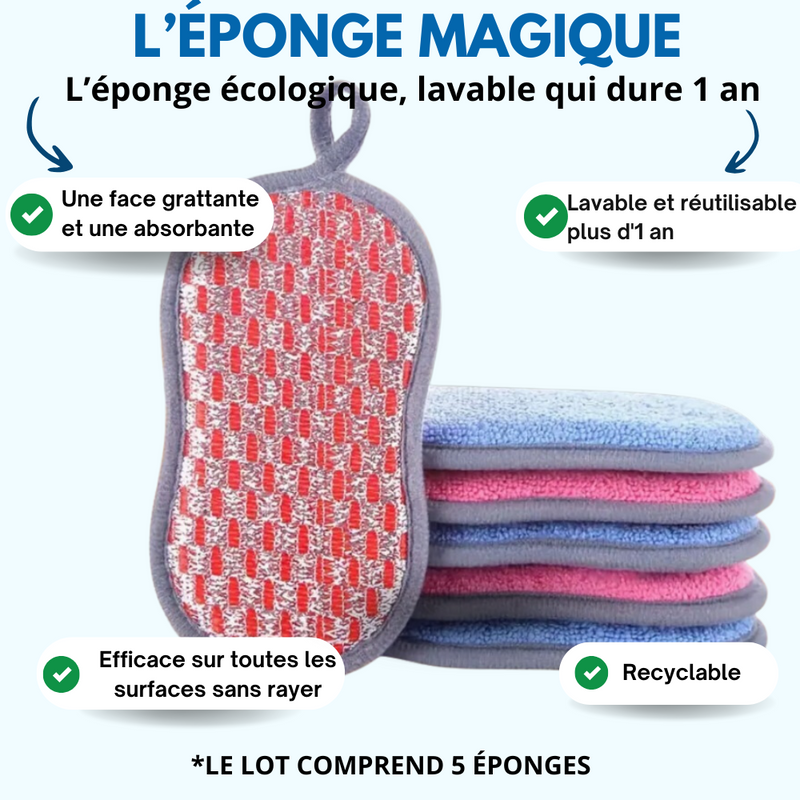 Lot de 5 éponges magiques lavable