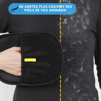 Gant attrape poils